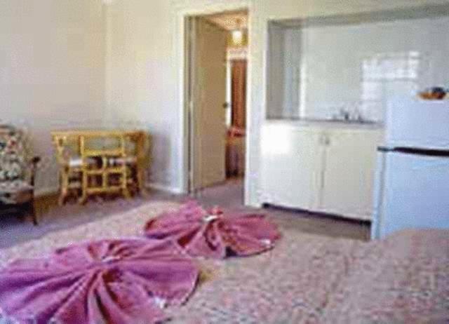 White Gum Motel Алис-Спрингс Номер фото